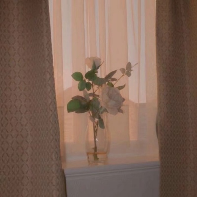 夜风绕过几条街