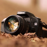 我也不想努力了